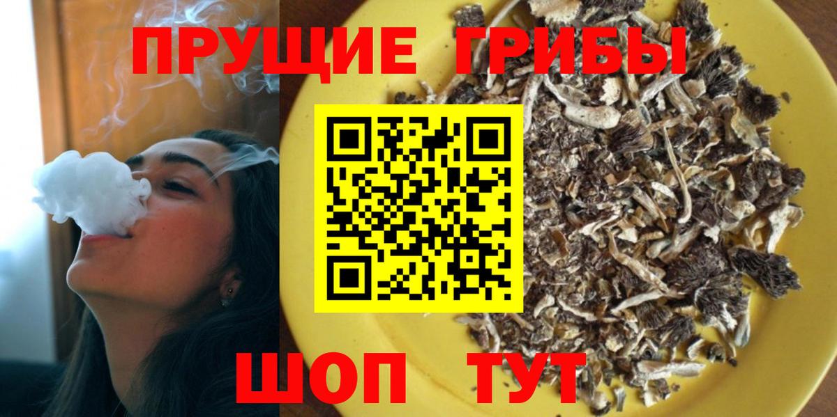 Галлюциногенные грибы прущие грибы  где купить наркоту  Ростов Великий  Вход с VPN  Галлюциногенные грибы Psilocybine cubensis 